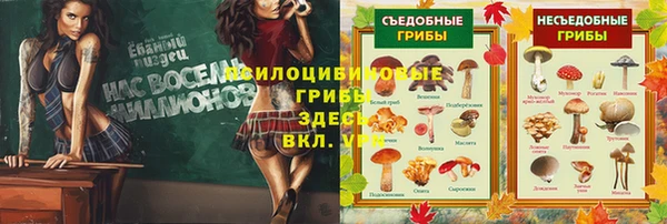 гидропоника Нея